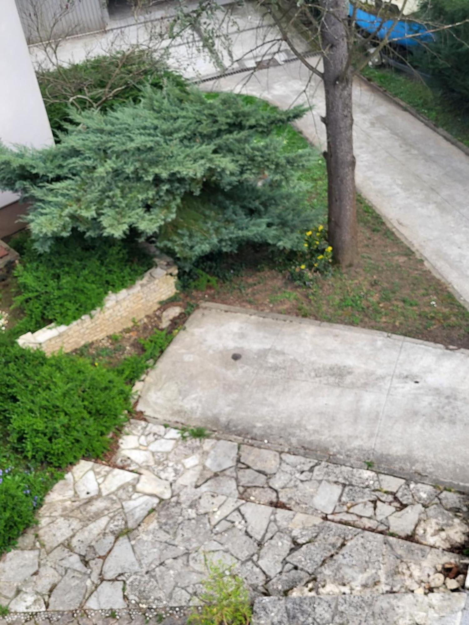 Villa Vino & Grad Zagreb Eksteriør bilde