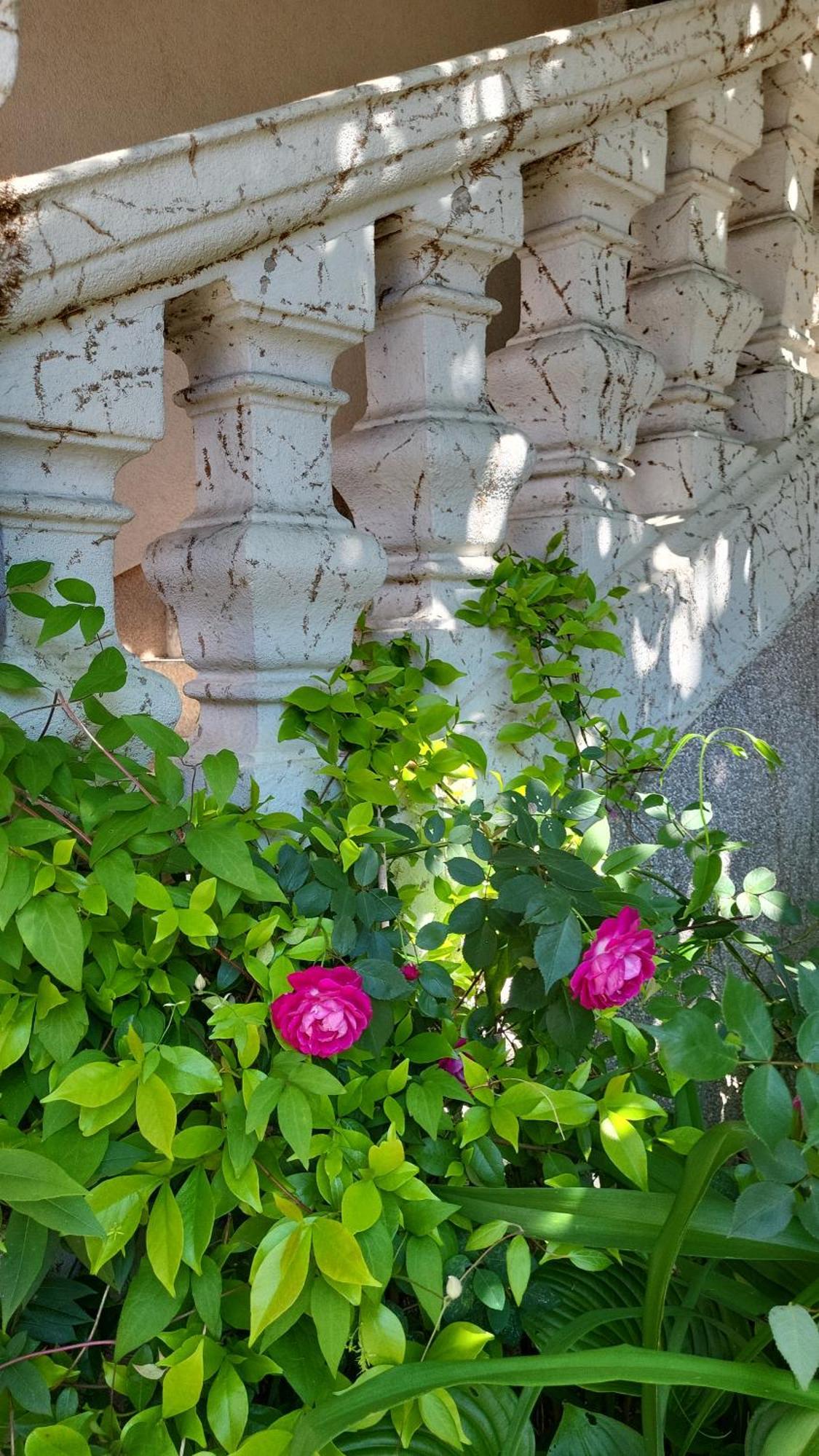 Villa Vino & Grad Zagreb Eksteriør bilde